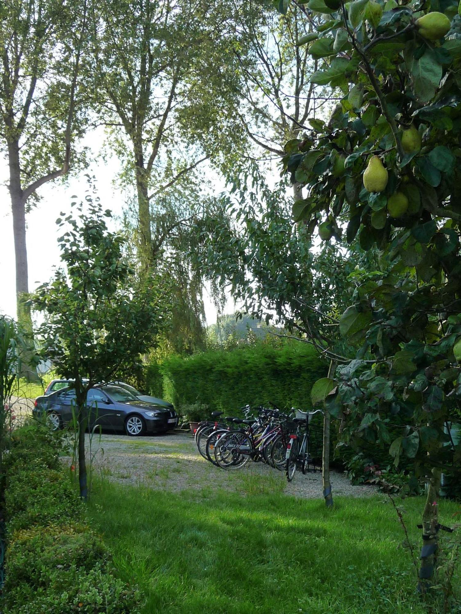 B&B Le Coquin Bruges Exterior photo
